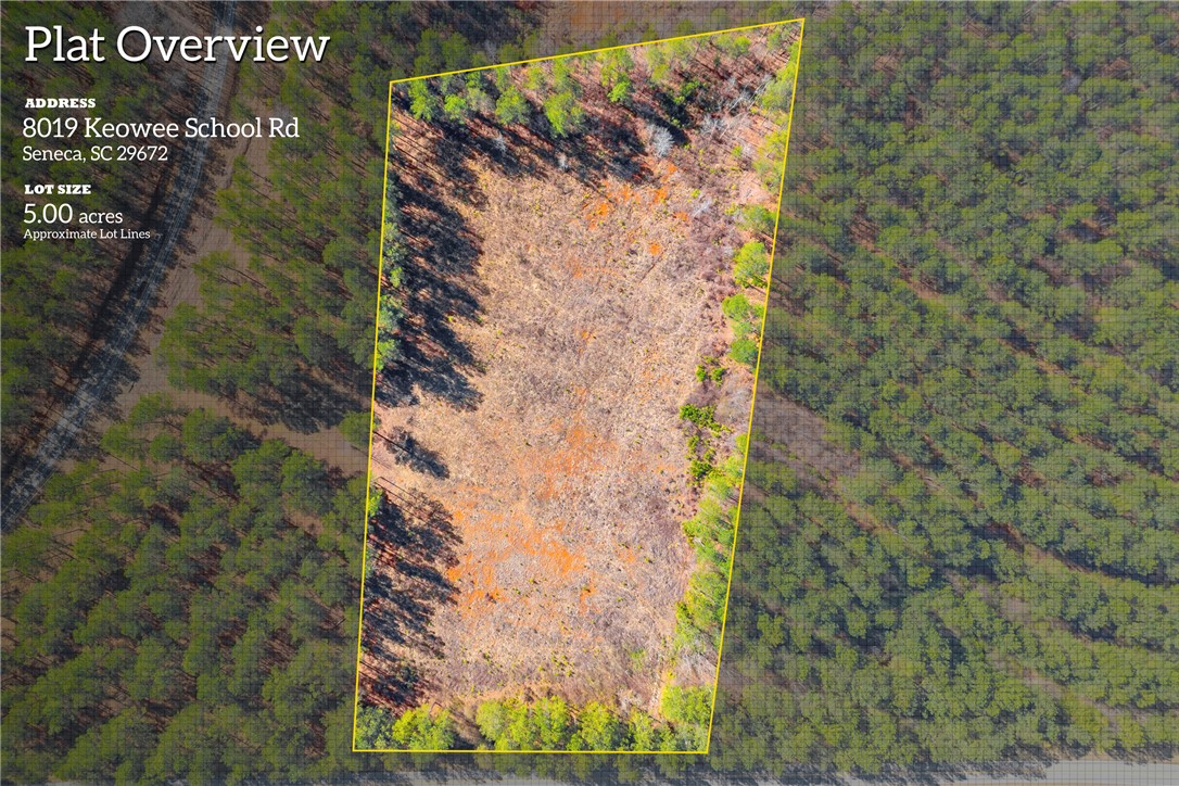 8019 Keowee School Road Seneca, SC 29672 - Photo 3 of 25 Gallery Image 3