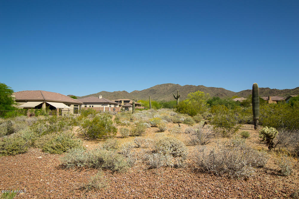41608 North River Bend Road Phoenix, AZ 85086 - Photo 54 of 65 day1 (12)