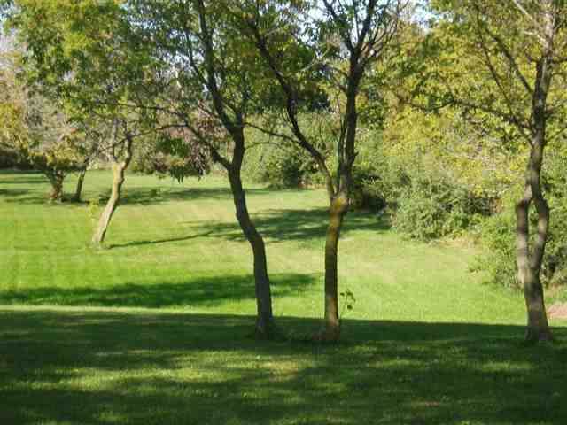 6745 Townsend Road Applegate, MI 48401 - Photo 23 of 28 31066937-22.JPG