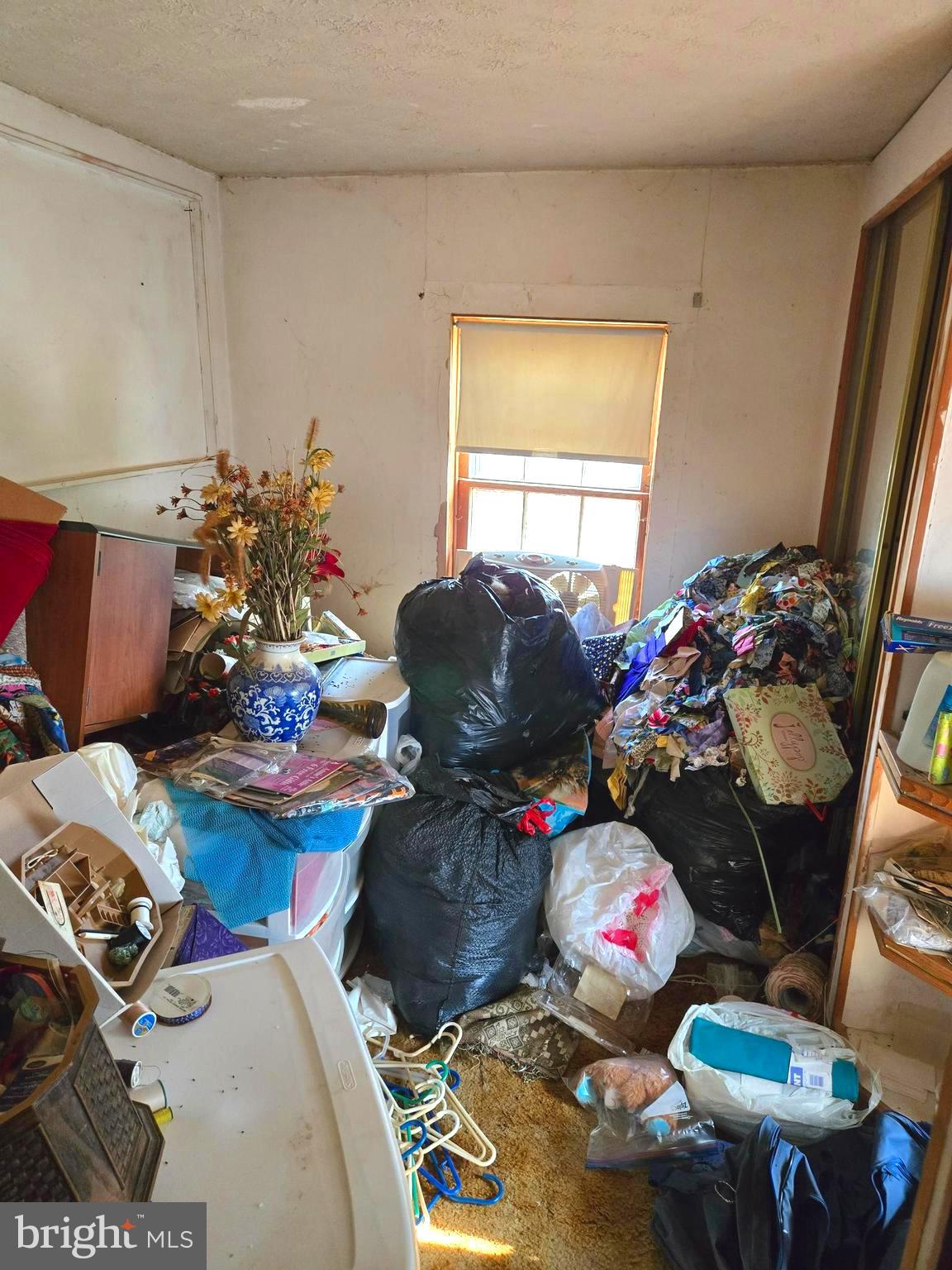 196 Foster Drive Falling Waters, WV 25419 - Photo 31 of 50 a room with furniture and a potted plant