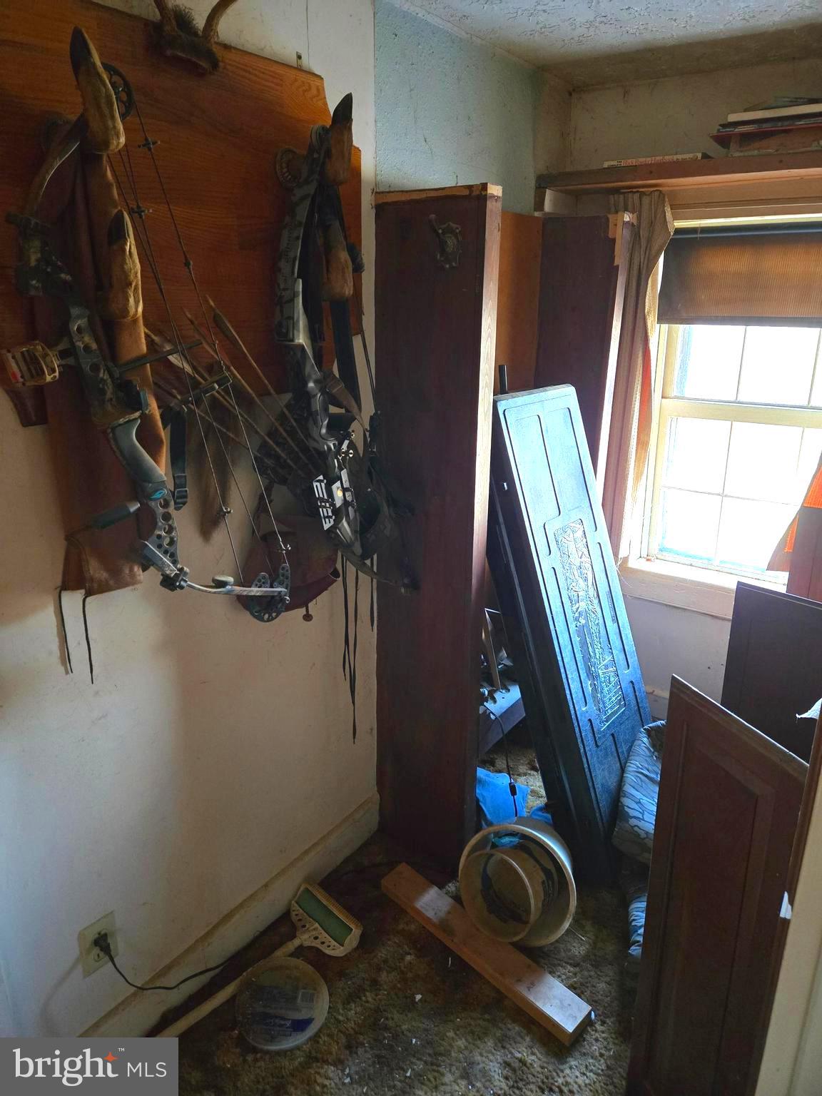 196 Foster Drive Falling Waters, WV 25419 - Photo 34 of 50 a view of storage and utility room