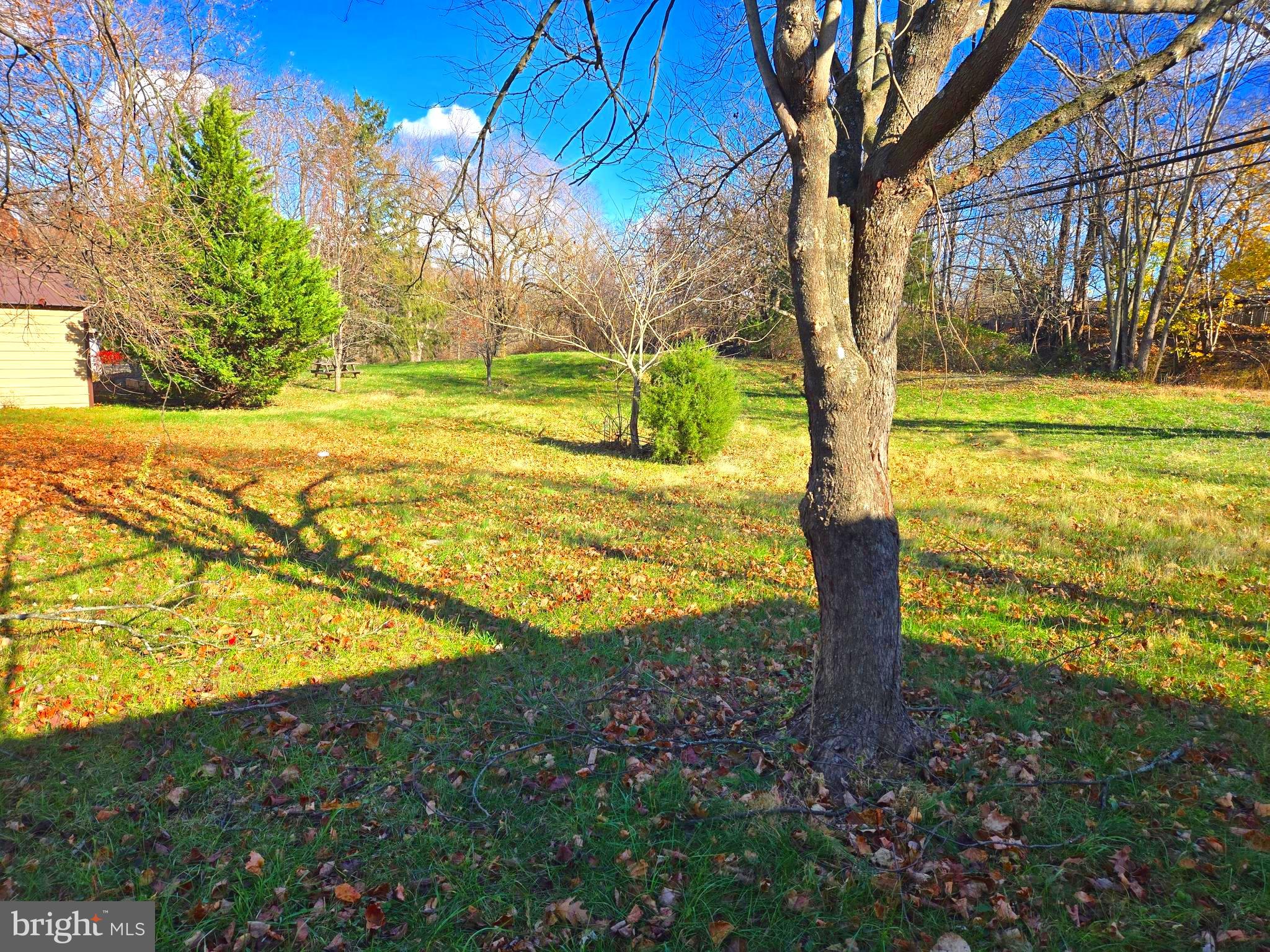 196 Foster Drive Falling Waters, WV 25419 - Photo 7 of 50 a view of a yard with an tree