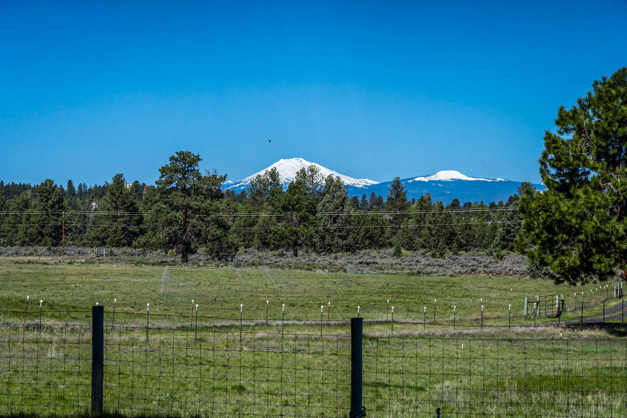 60640 Arnold Market Road Bend, OR 97702 - Photo 40 of 42 2024_05_16_60640_arnold_market_road-7