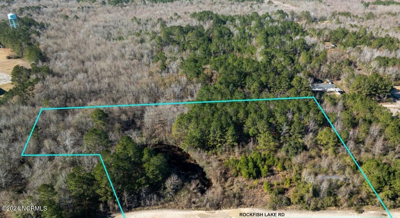 91 Rockfish Lake Road Maple Hill, NC 28454 - Photo 1 of 69 23