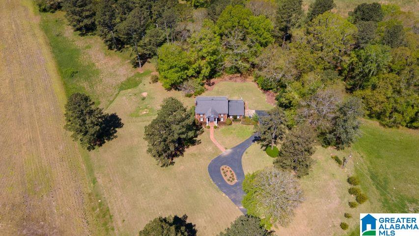1565 Old Choccolocco Road Anniston, AL 36207 - Photo 60 of 66