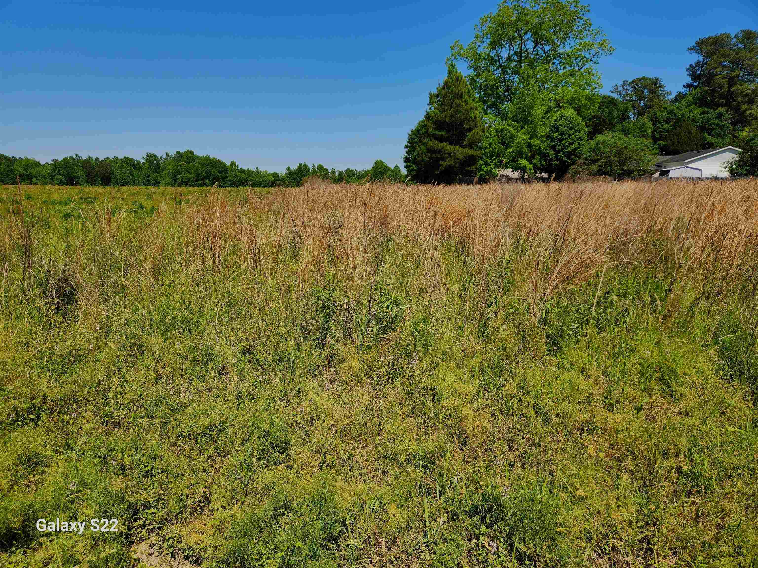 Tbd Pleasant View Church Road Nichols, SC 29581 - Photo 1 of 2