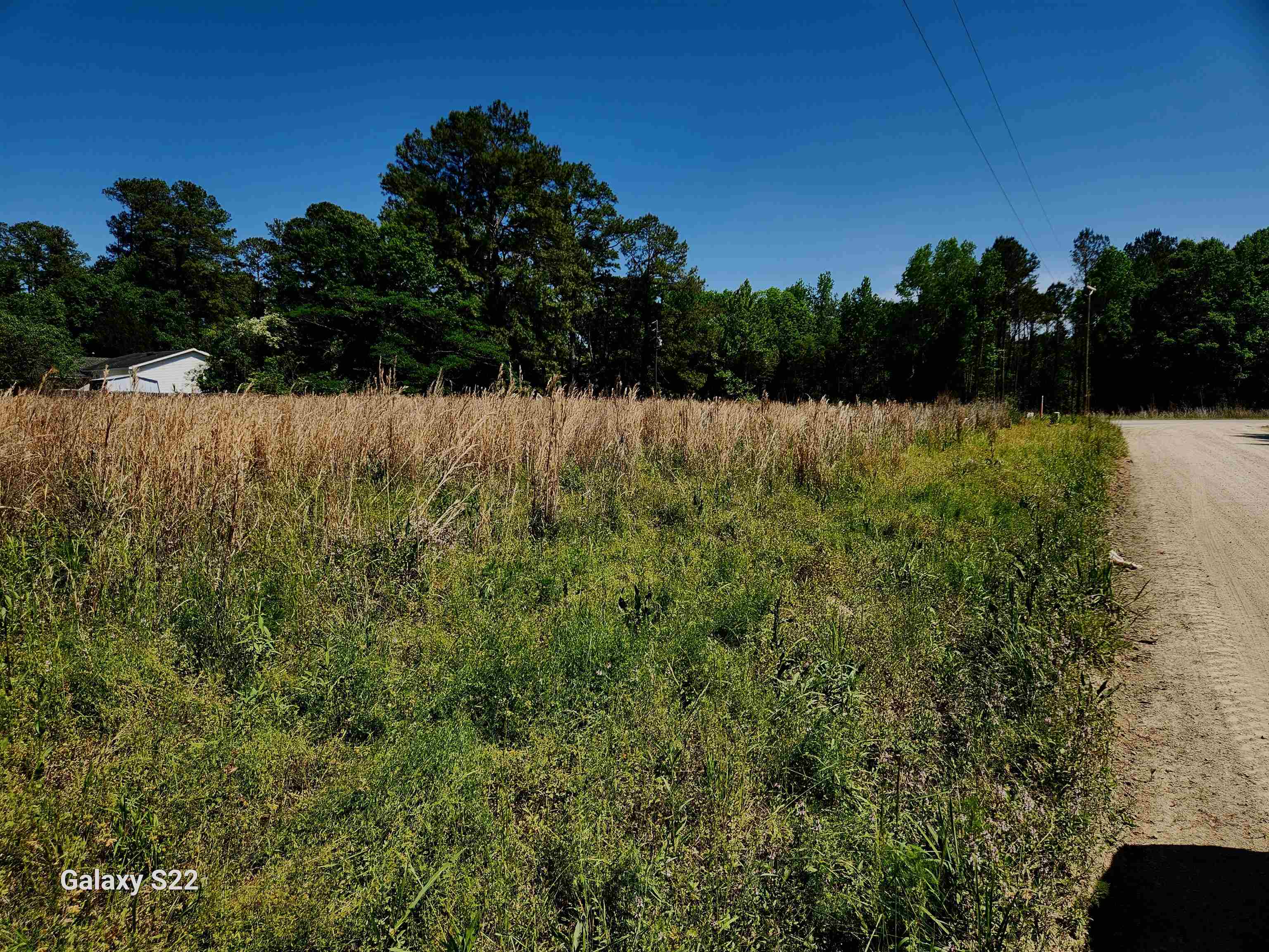 Tbd Pleasant View Church Road Nichols, SC 29581 - Photo 2 of 2
