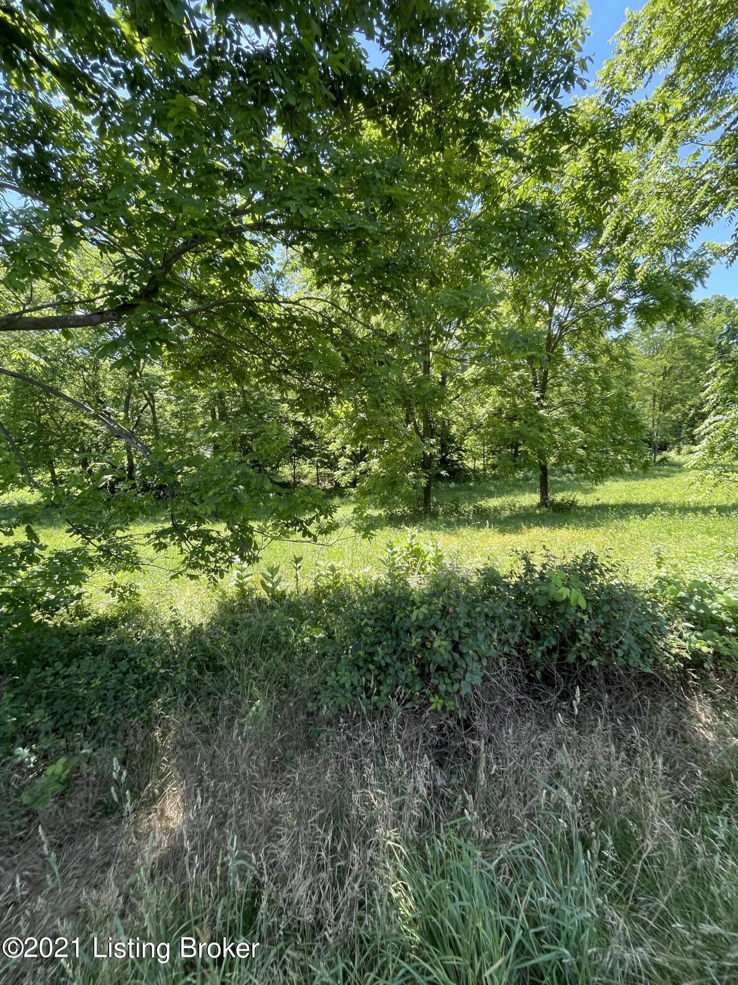 2497 Lagrange Road, Unit 5 & 6 New Castle, KY 40050 - Photo 2 of 2 Tract 5