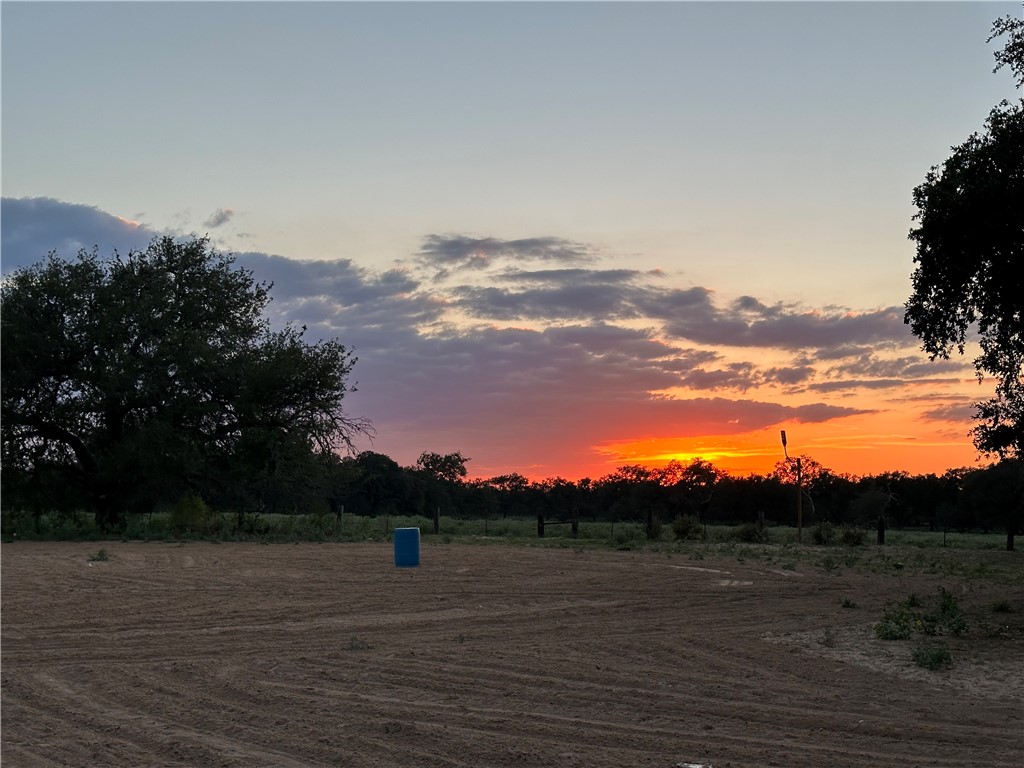 490 Hernandez Road Poteet, TX 78065 - Photo 8 of 30