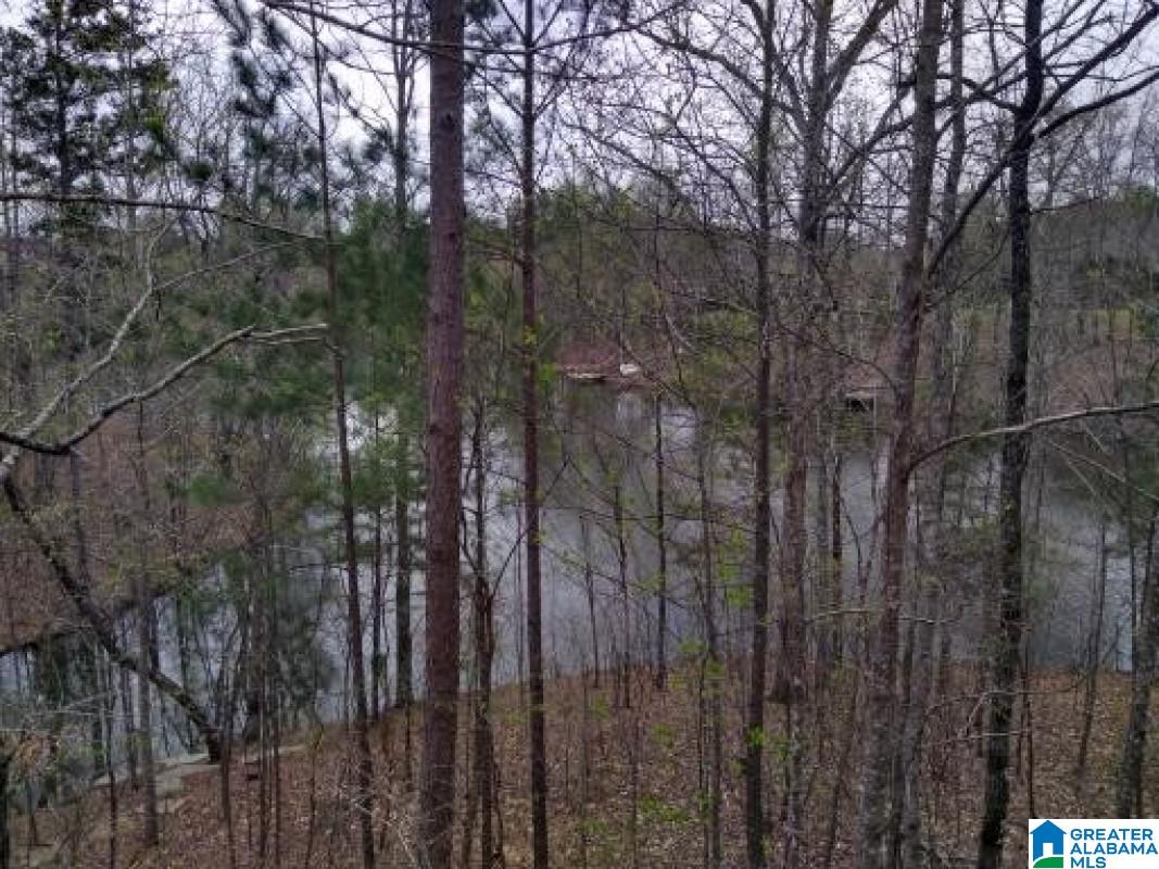 120 Fallow Circle Chelsea, AL 35043 - Photo 20 of 43