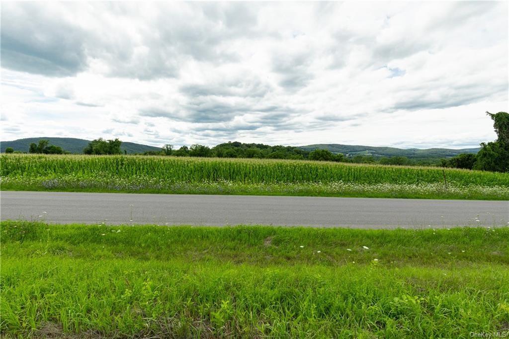 Yonderview Road Hillsdale, NY 12529 - Photo 7 of 13