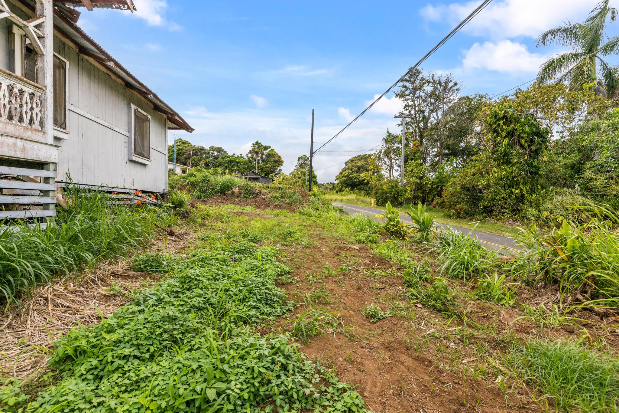 48-5399 Kukuihaele Road Honokaa, HI 96727 - Photo 15 of 25 a backyard of a house with lots of green space