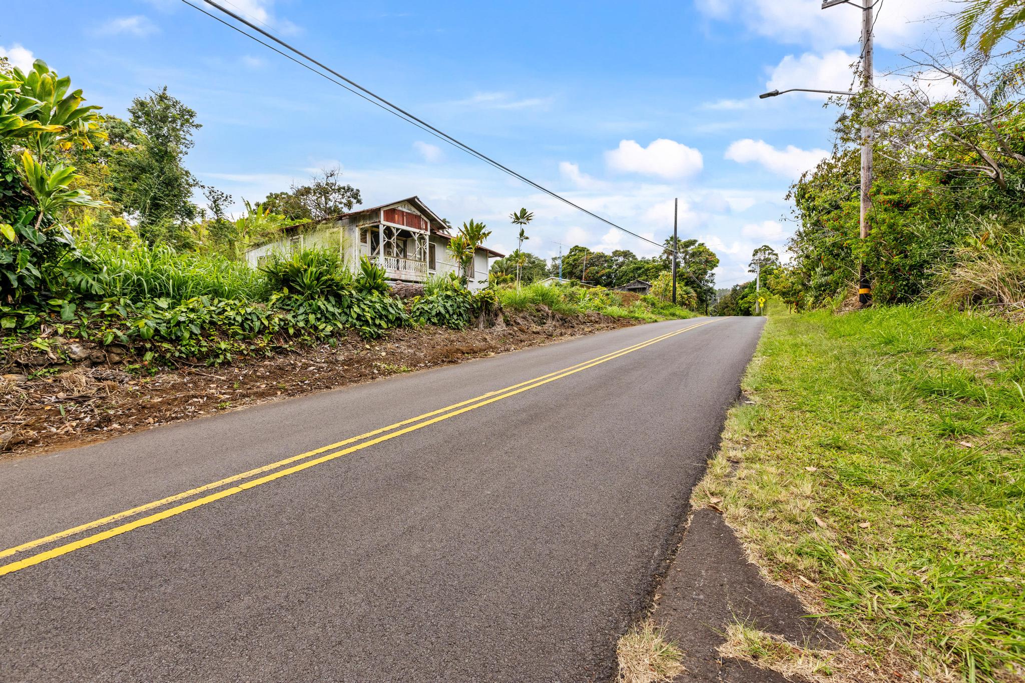 48-5399 Kukuihaele Road Honokaa, HI 96727 - Photo 18 of 25 a view of a garden