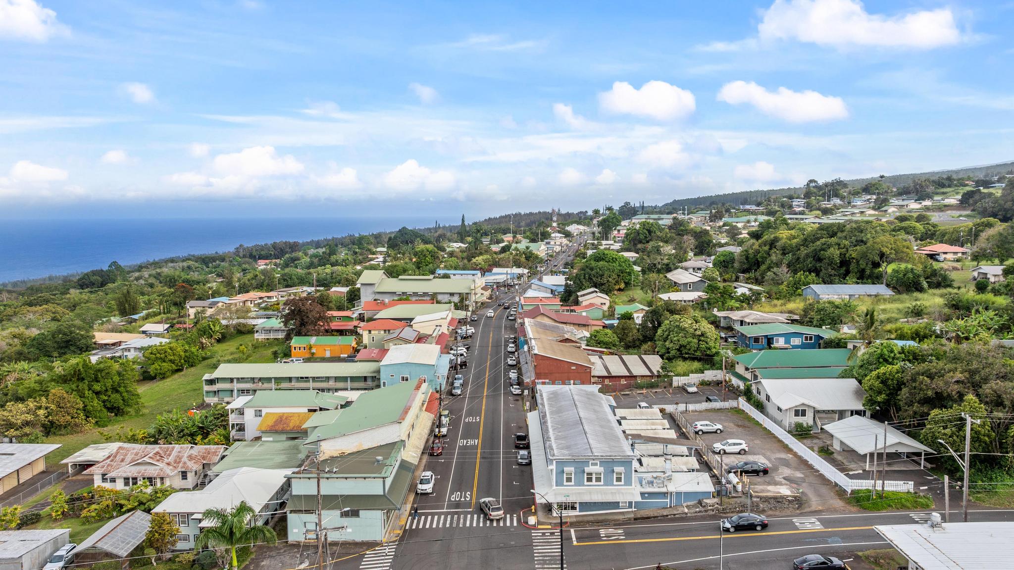 48-5399 Kukuihaele Road Honokaa, HI 96727 - Photo 22 of 25 a view of a city