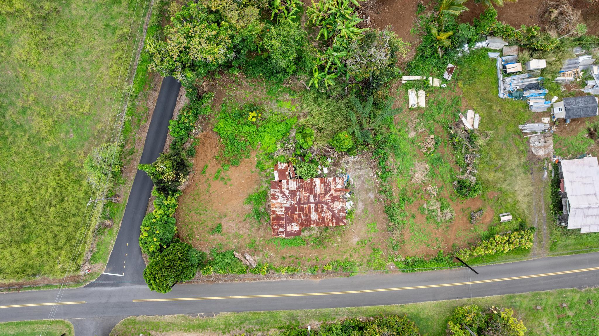48-5399 Kukuihaele Road Honokaa, HI 96727 - Photo 4 of 25 a view of a yard