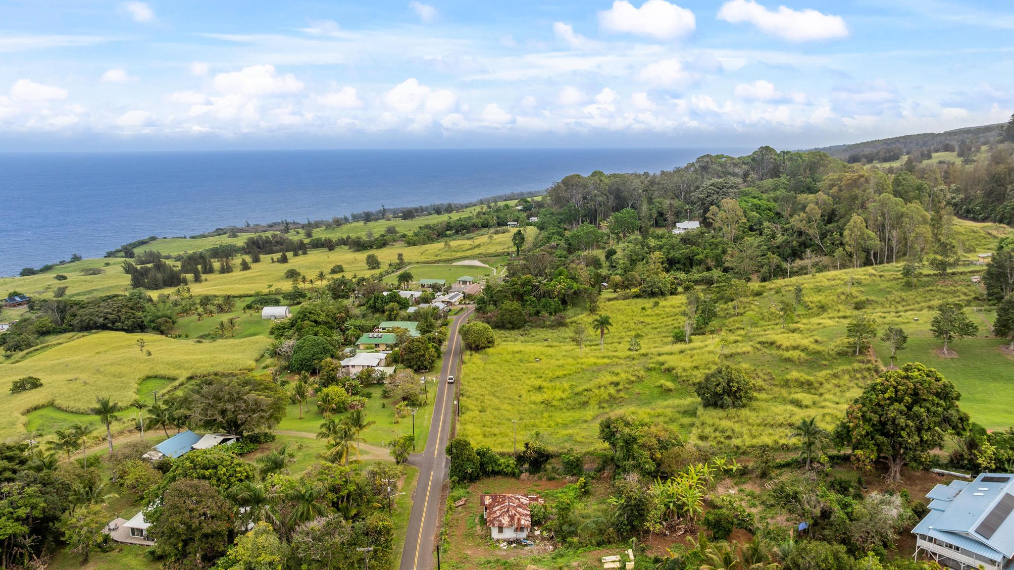 48-5399 Kukuihaele Road Honokaa, HI 96727 - Photo 8 of 25 a view of a yard