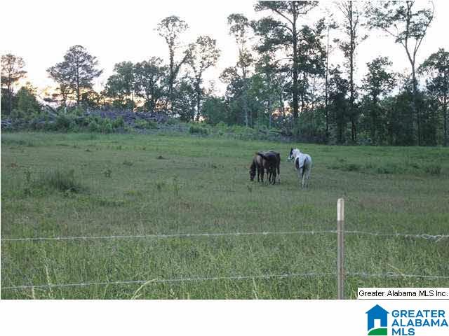 142 County Road, Unit 38 Roanoke, AL 36274 - Photo 5 of 6