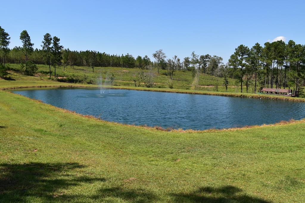 297 Liberty Road Mauk, GA 31058 - Photo 8 of 17 a view of a lake with houses in the background