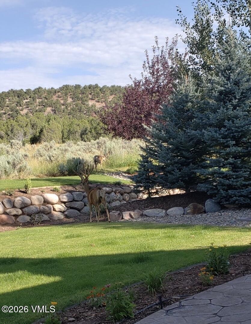 136 Wildhorse Gypsum, CO 81637 - Photo 30 of 31 IMG_8102