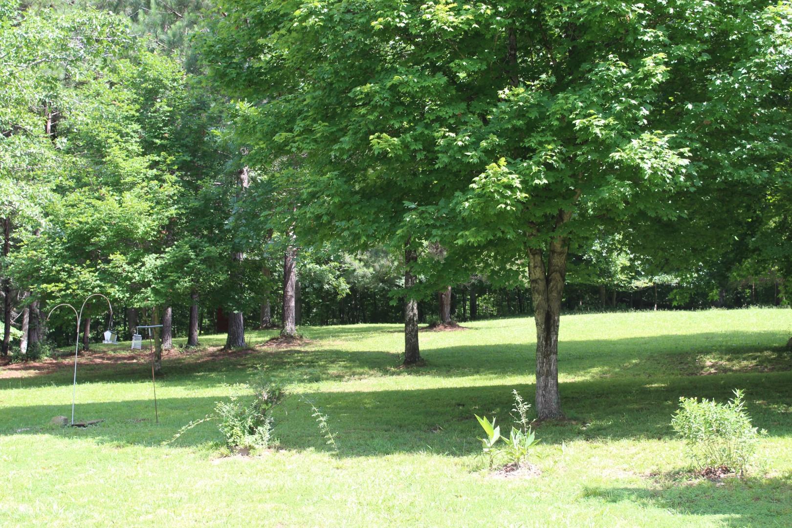 132 Whiskey Hollow Road Tennessee Ridge, TN 37178 - Photo 3 of 22 Gallery Image 3