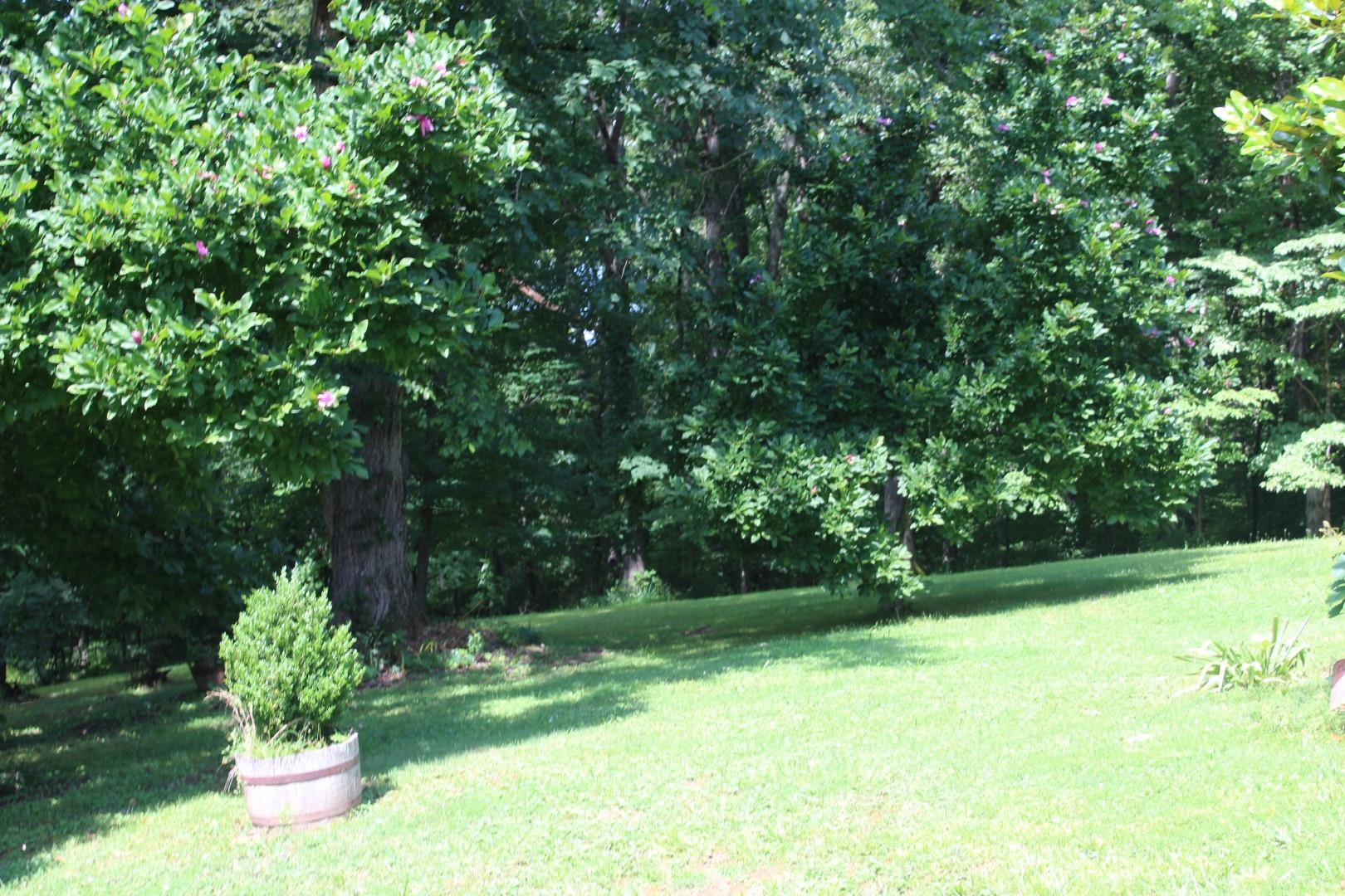 132 Whiskey Hollow Road Tennessee Ridge, TN 37178 - Photo 4 of 22 Gallery Image 4