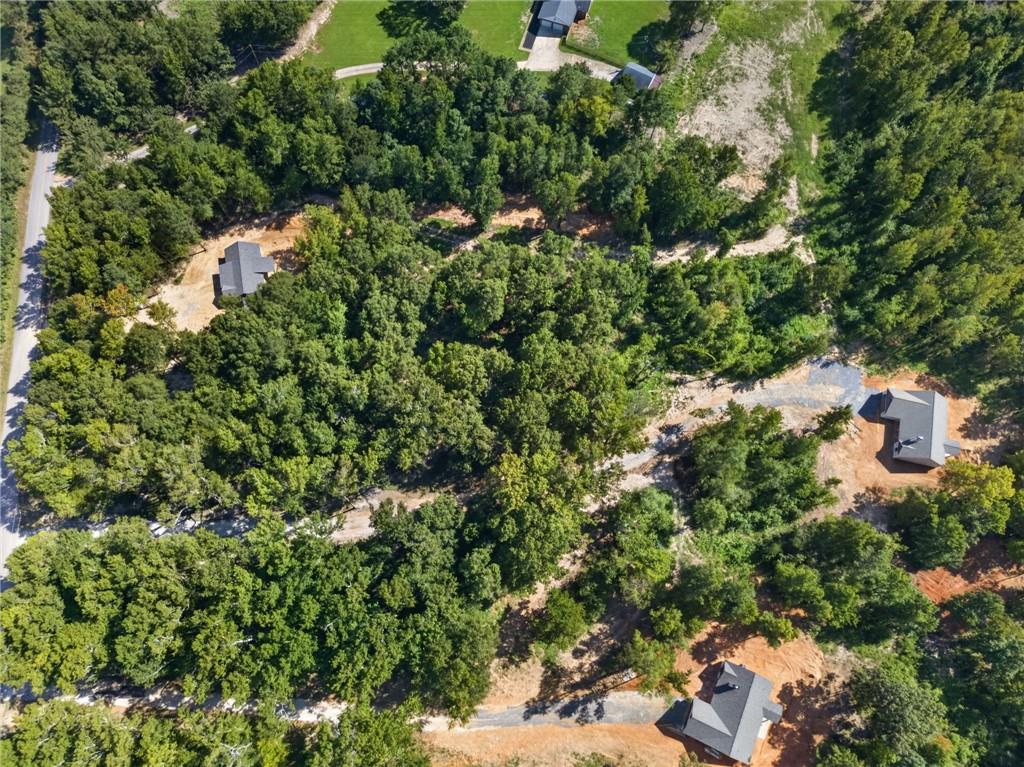 339 Relay Road Silver Creek, GA 30173 - Photo 36 of 45 Gallery Image 36