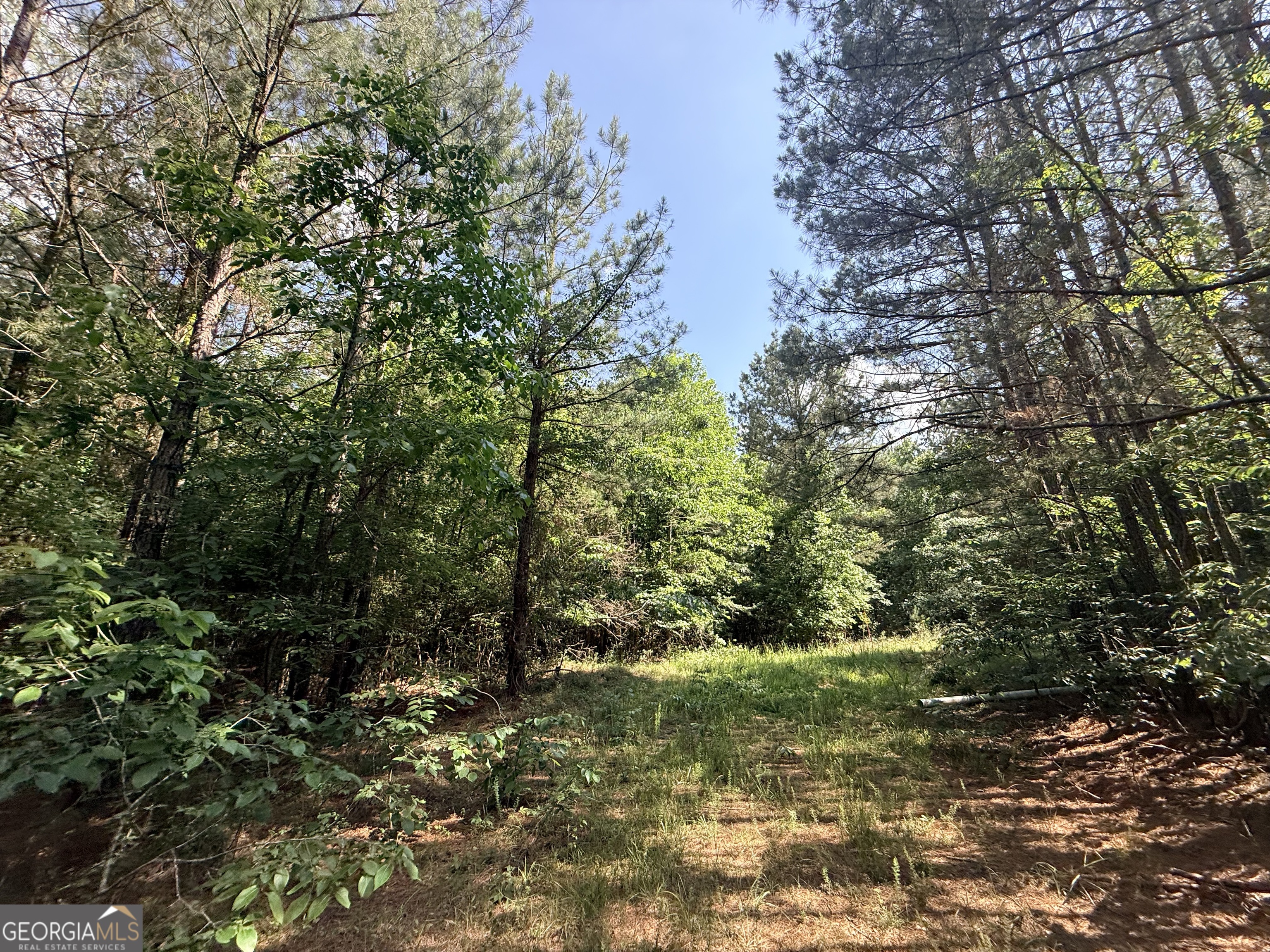 2 Bethesda Church Road Lexington, GA 30648 - Photo 29 of 66