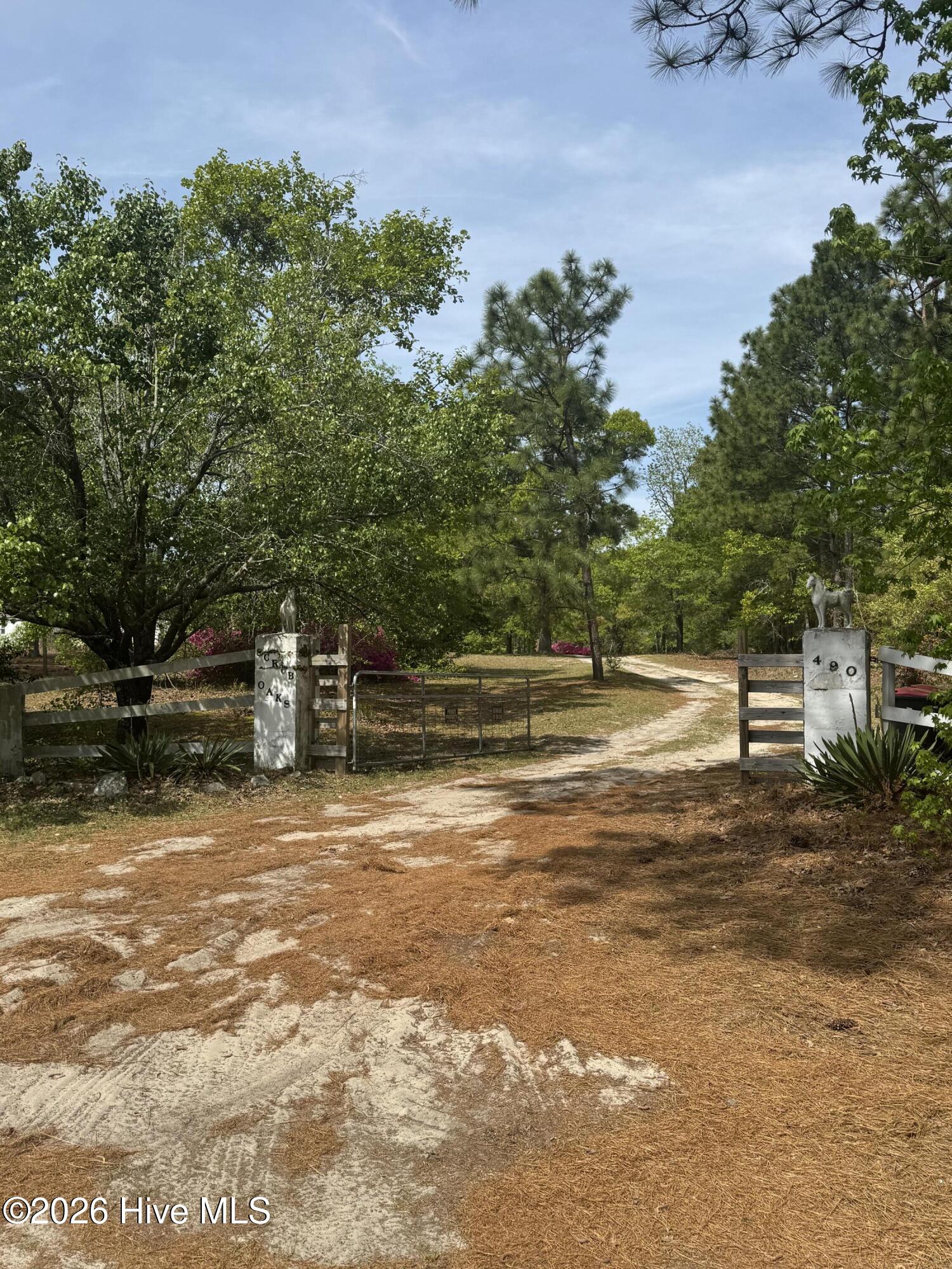 490 Springhill Church Road Hamlet, NC 28345 - Photo 11 of 63 IMG_0163