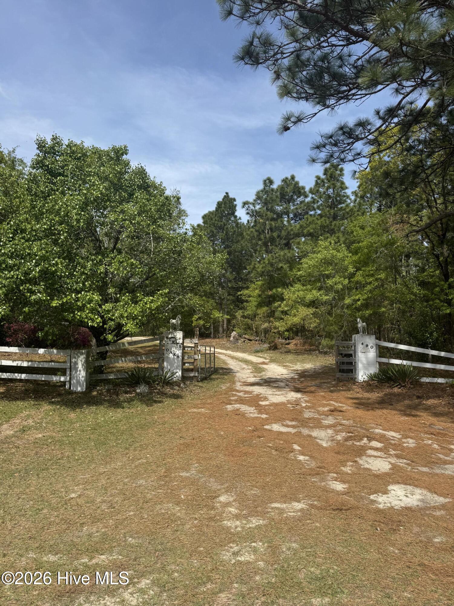 490 Springhill Church Road Hamlet, NC 28345 - Photo 12 of 63 IMG_0162