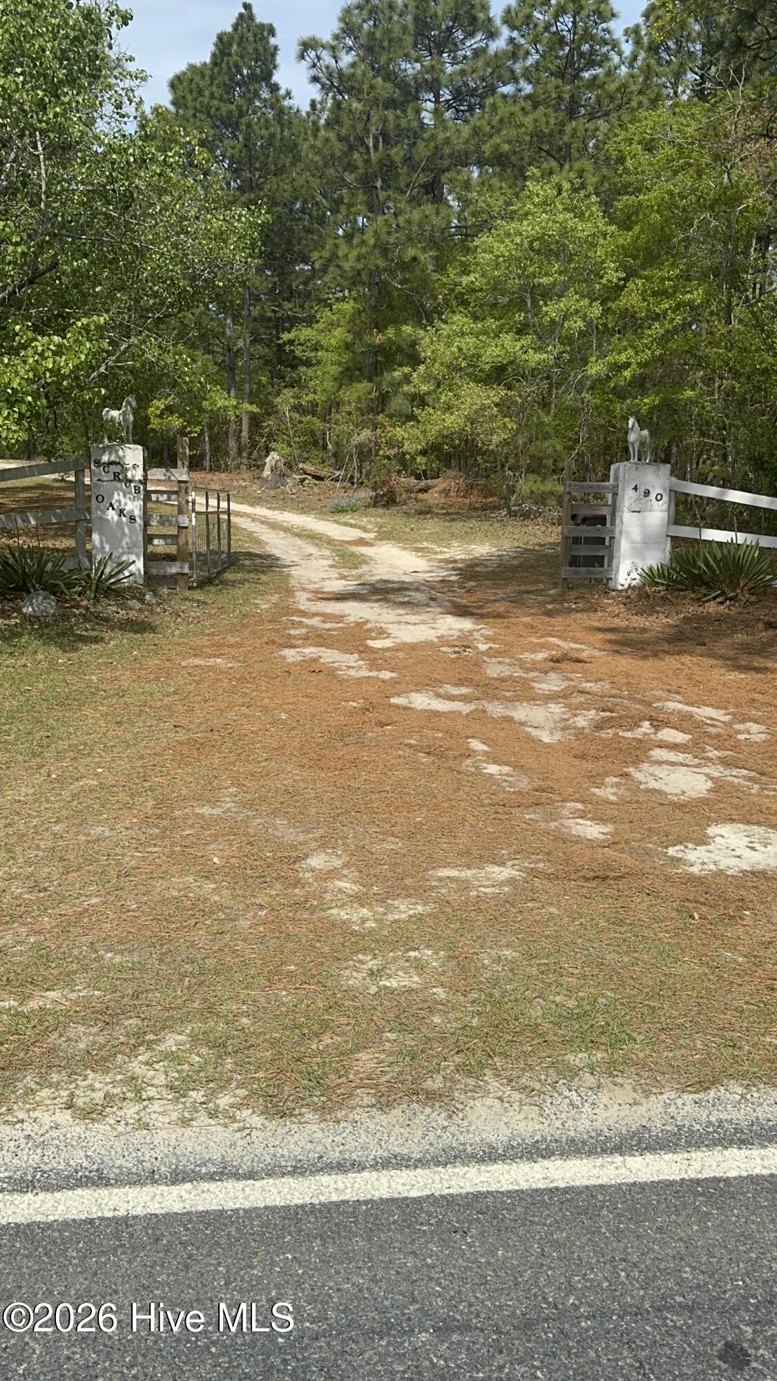 490 Springhill Church Road Hamlet, NC 28345 - Photo 13 of 63 IMG_0160