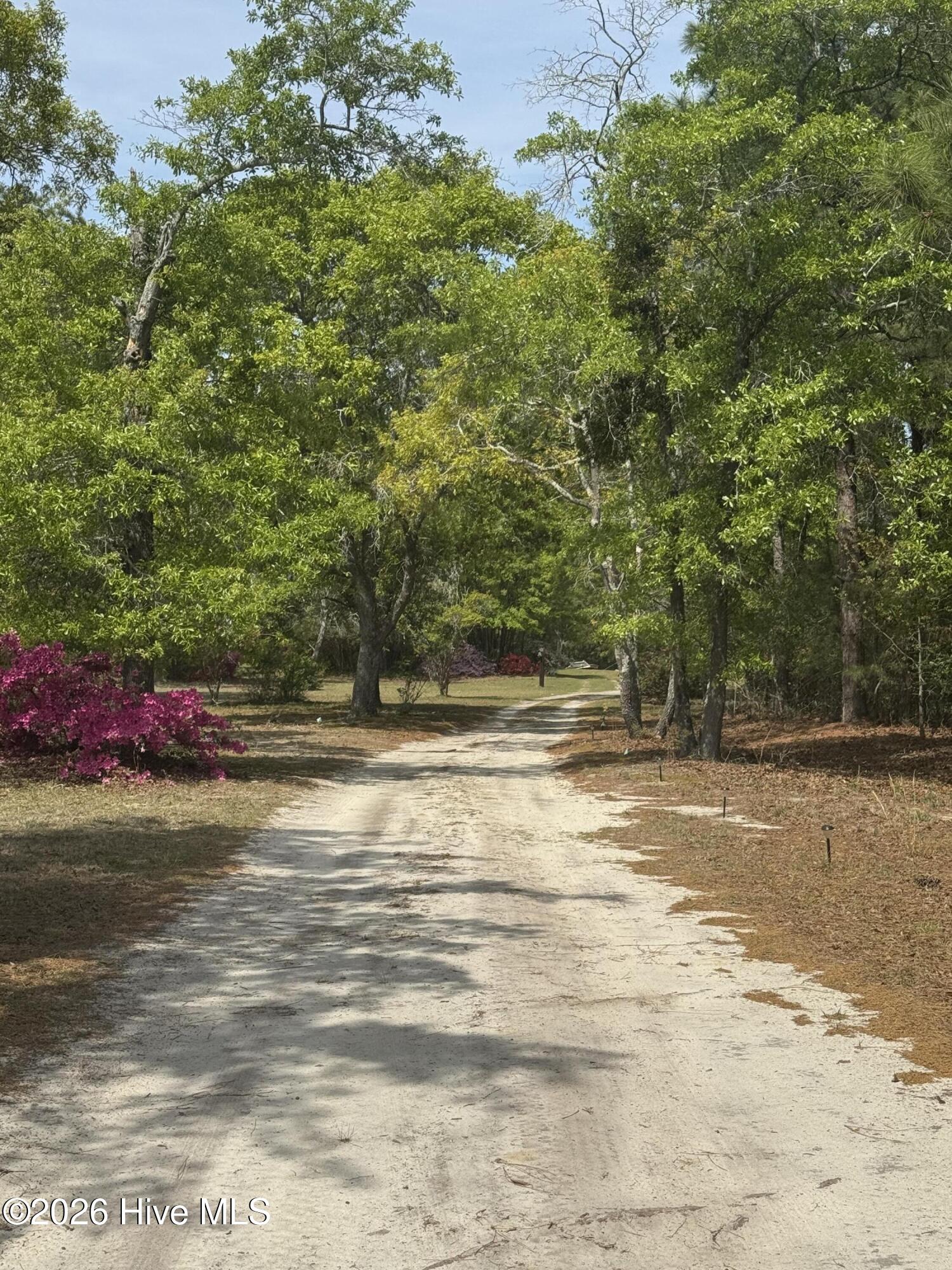 490 Springhill Church Road Hamlet, NC 28345 - Photo 15 of 63 IMG_0158