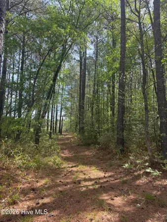 $480,000 | 490 Springhill Church Road, Hamlet, NC 28345