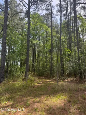 $480,000 | 490 Springhill Church Road, Hamlet, NC 28345