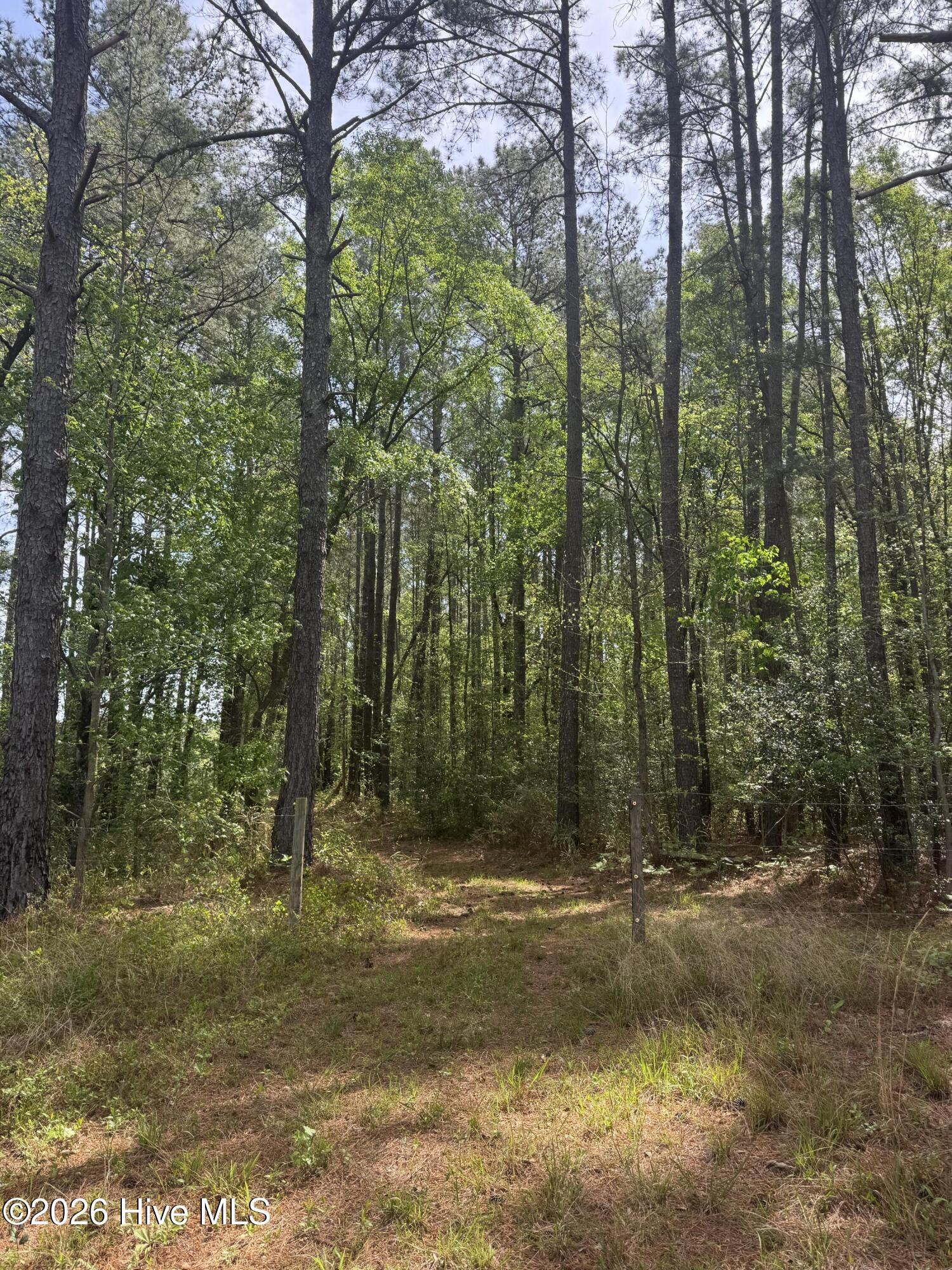 490 Springhill Church Road Hamlet, NC 28345 - Photo 19 of 63 IMG_0154