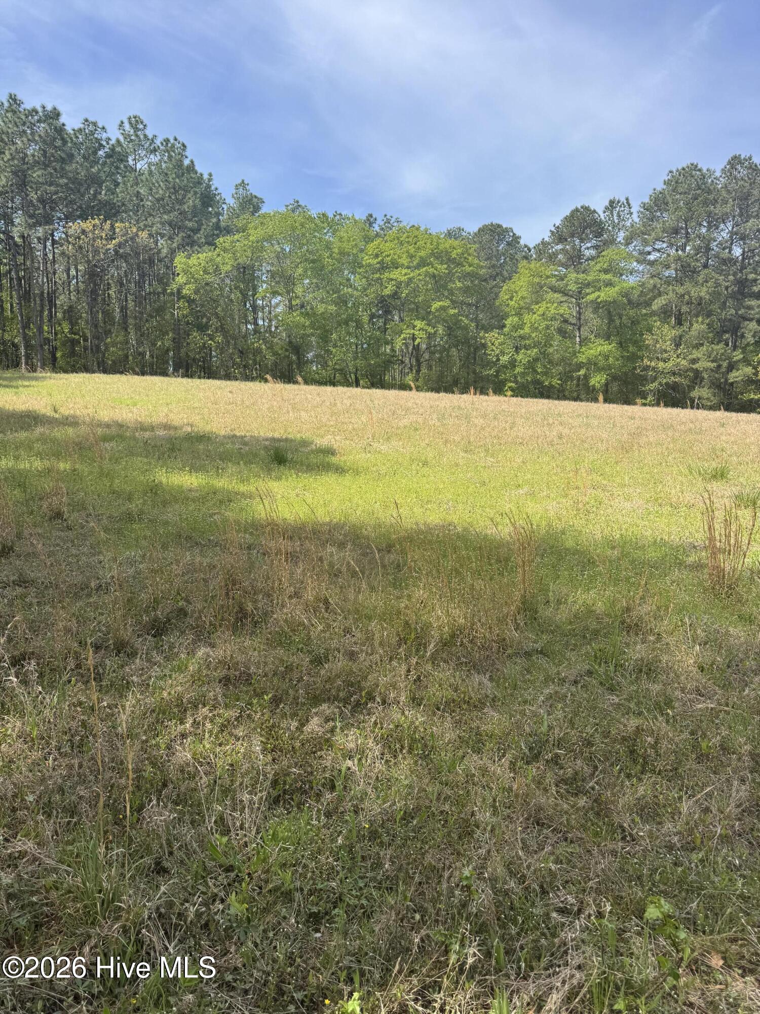 490 Springhill Church Road Hamlet, NC 28345 - Photo 21 of 63 IMG_0152