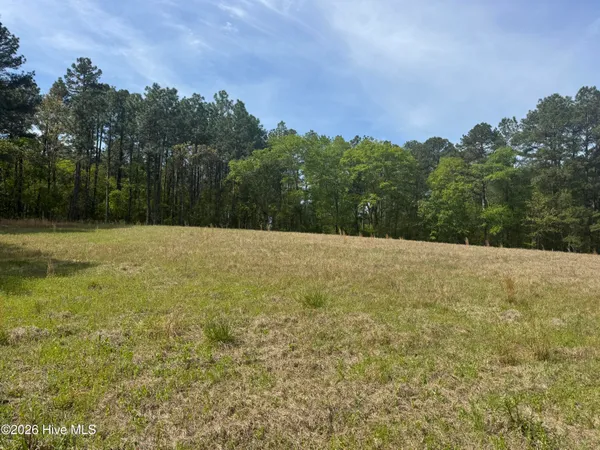 $480,000 | 490 Springhill Church Road, Hamlet, NC 28345