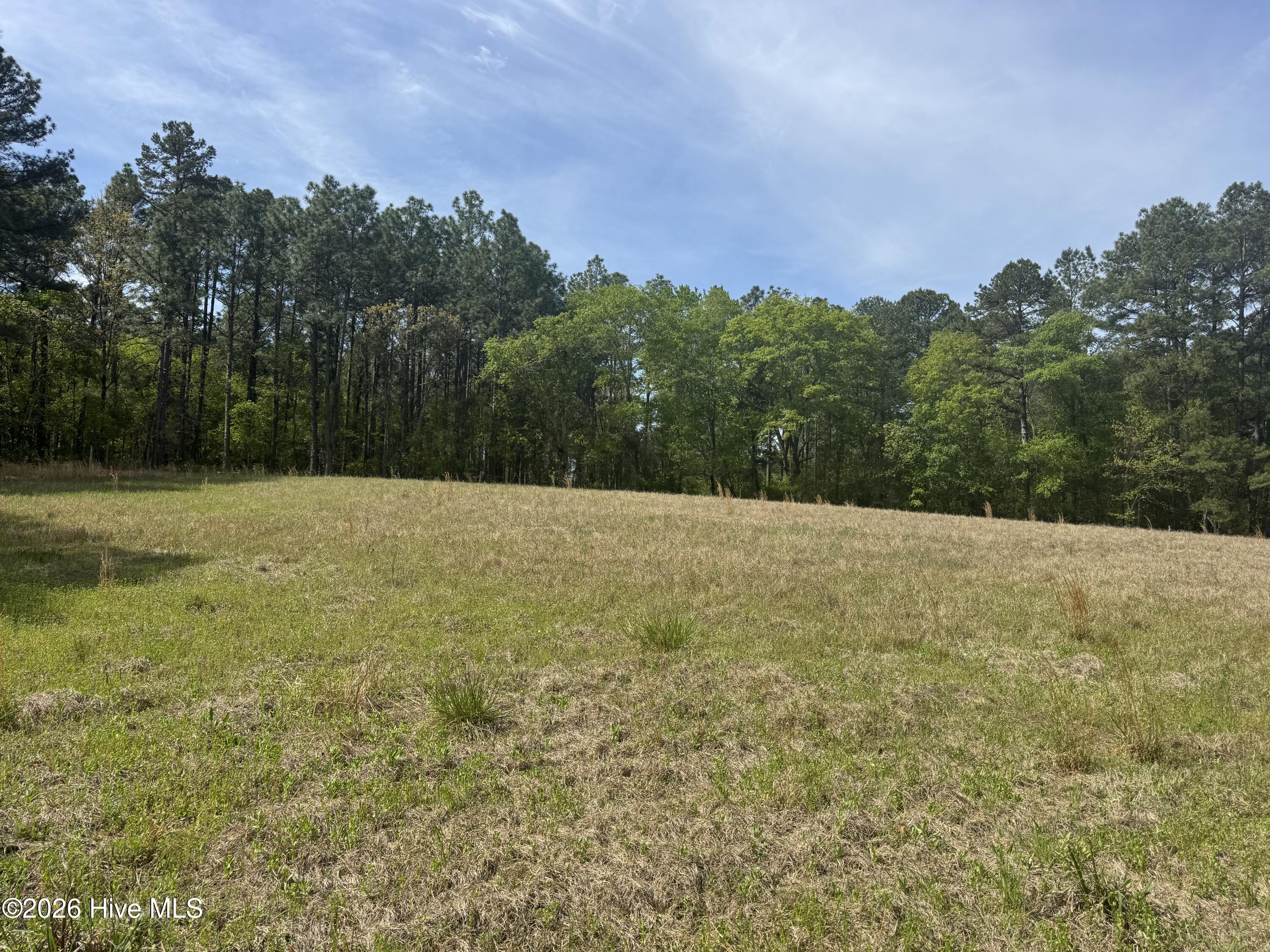 490 Springhill Church Road Hamlet, NC 28345 - Photo 22 of 63 IMG_0151