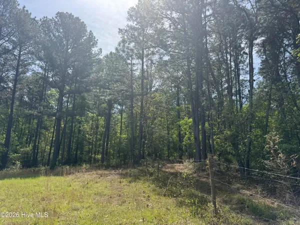 $480,000 | 490 Springhill Church Road, Hamlet, NC 28345