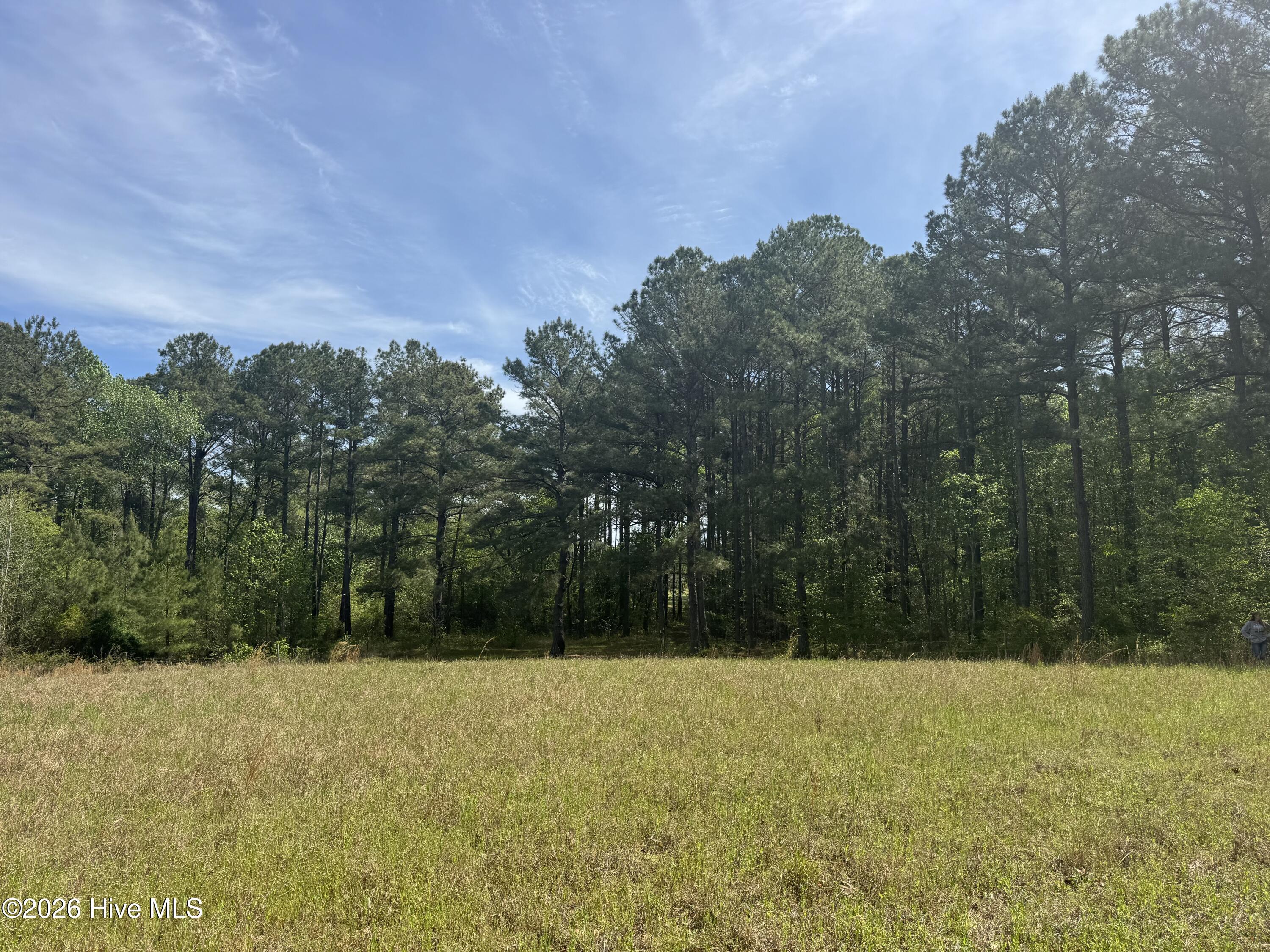 490 Springhill Church Road Hamlet, NC 28345 - Photo 24 of 63 IMG_0148