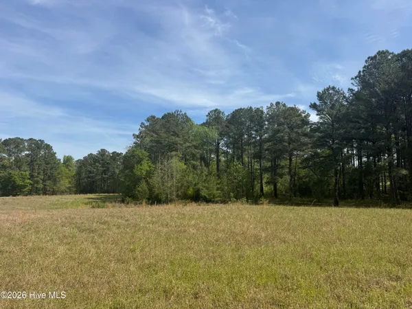 $480,000 | 490 Springhill Church Road, Hamlet, NC 28345