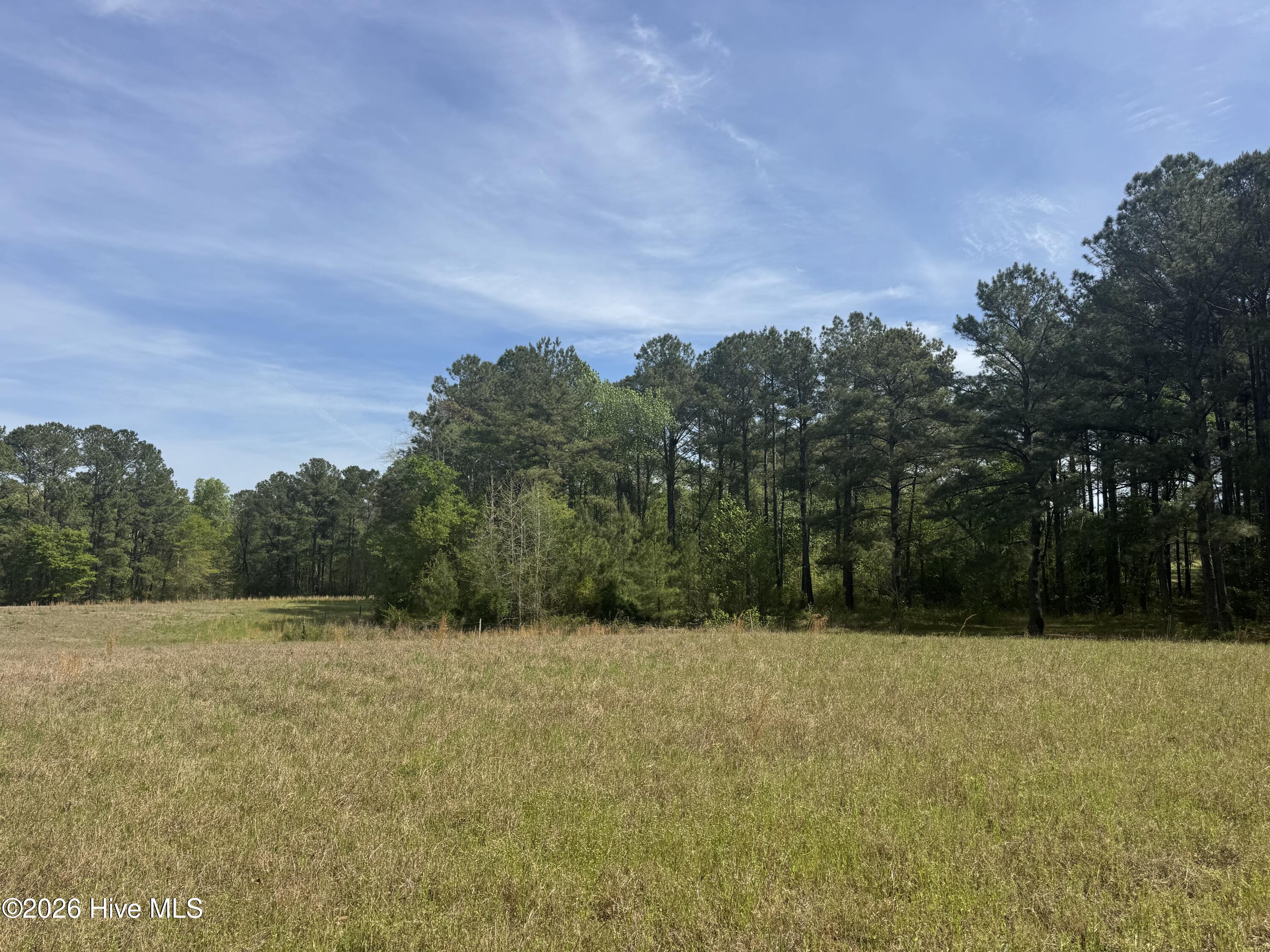 490 Springhill Church Road Hamlet, NC 28345 - Photo 25 of 63 IMG_0147