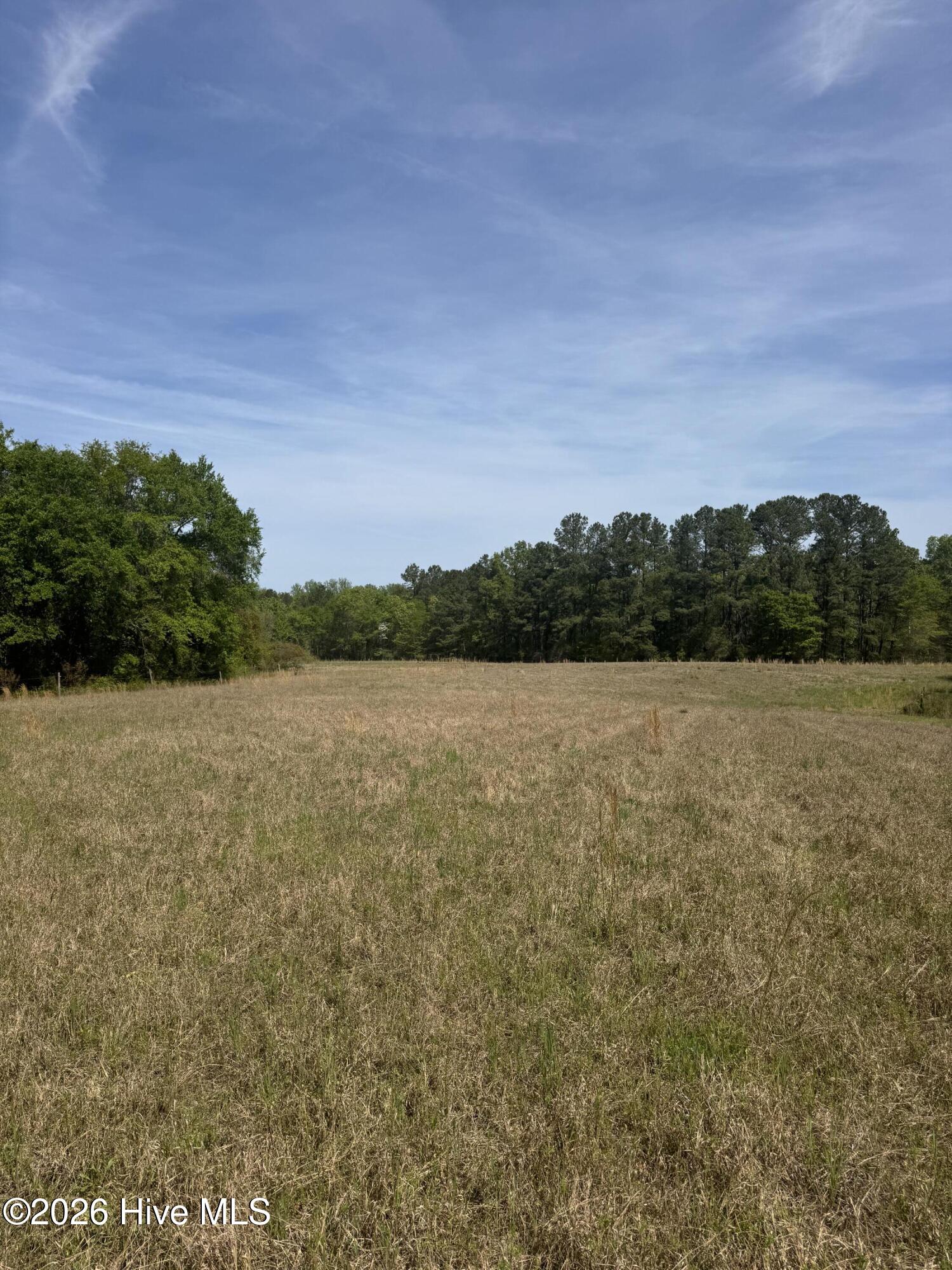 490 Springhill Church Road Hamlet, NC 28345 - Photo 26 of 63 IMG_0145