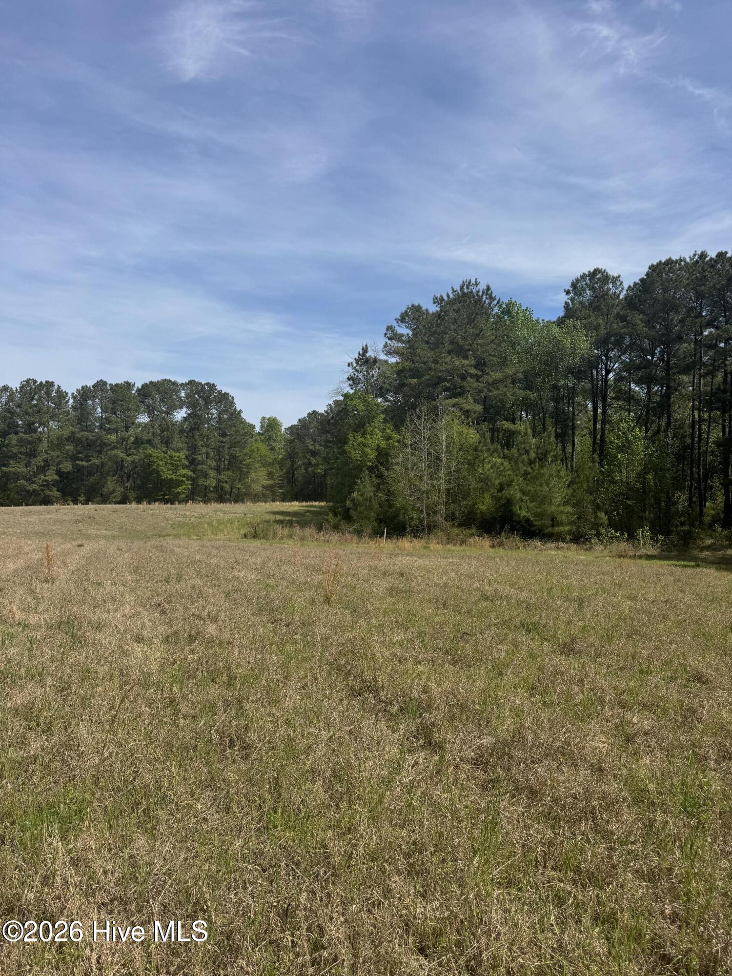 490 Springhill Church Road Hamlet, NC 28345 - Photo 27 of 63 IMG_0144