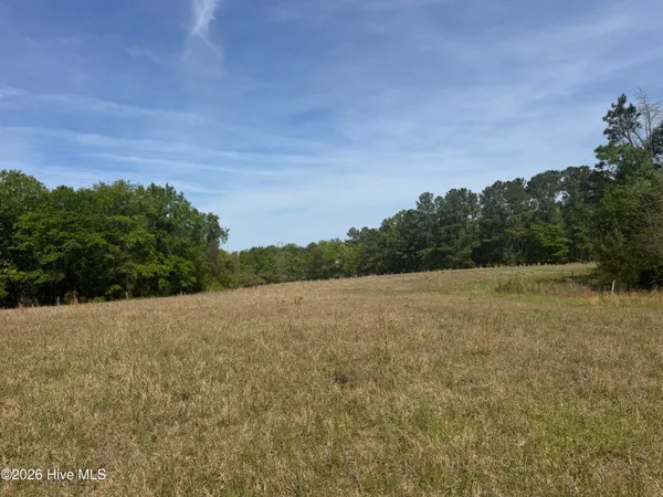 $480,000 | 490 Springhill Church Road, Hamlet, NC 28345