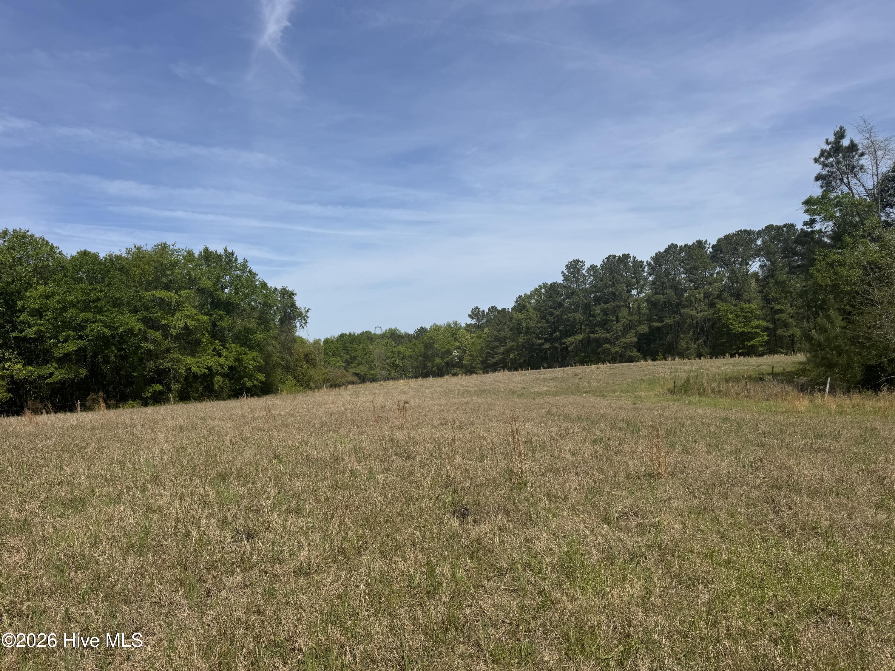 490 Springhill Church Road Hamlet, NC 28345 - Photo 28 of 63 IMG_0143