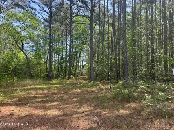 $480,000 | 490 Springhill Church Road, Hamlet, NC 28345