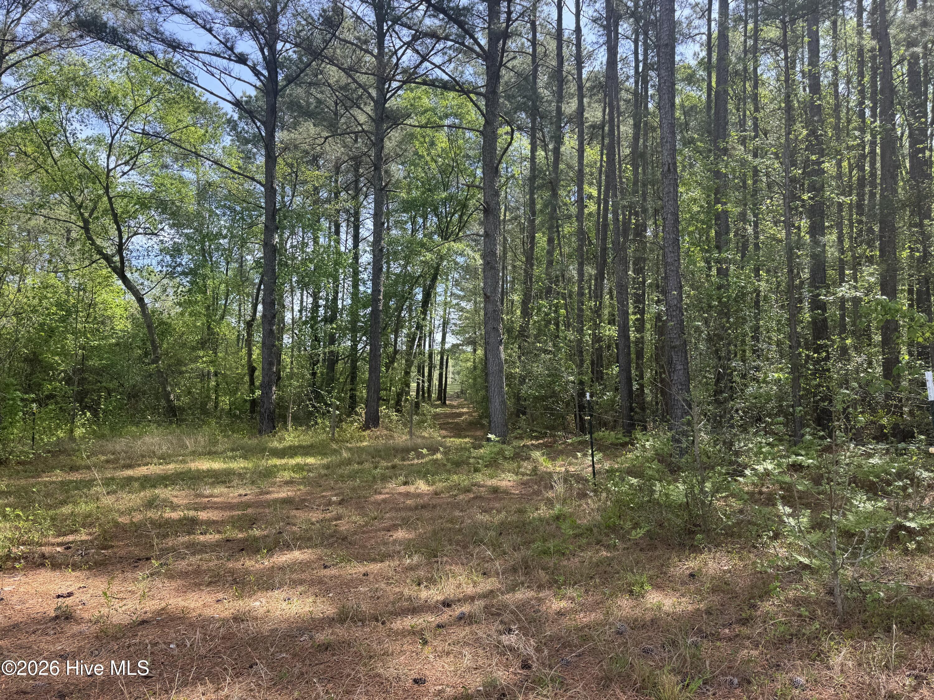 490 Springhill Church Road Hamlet, NC 28345 - Photo 29 of 63 IMG_0142