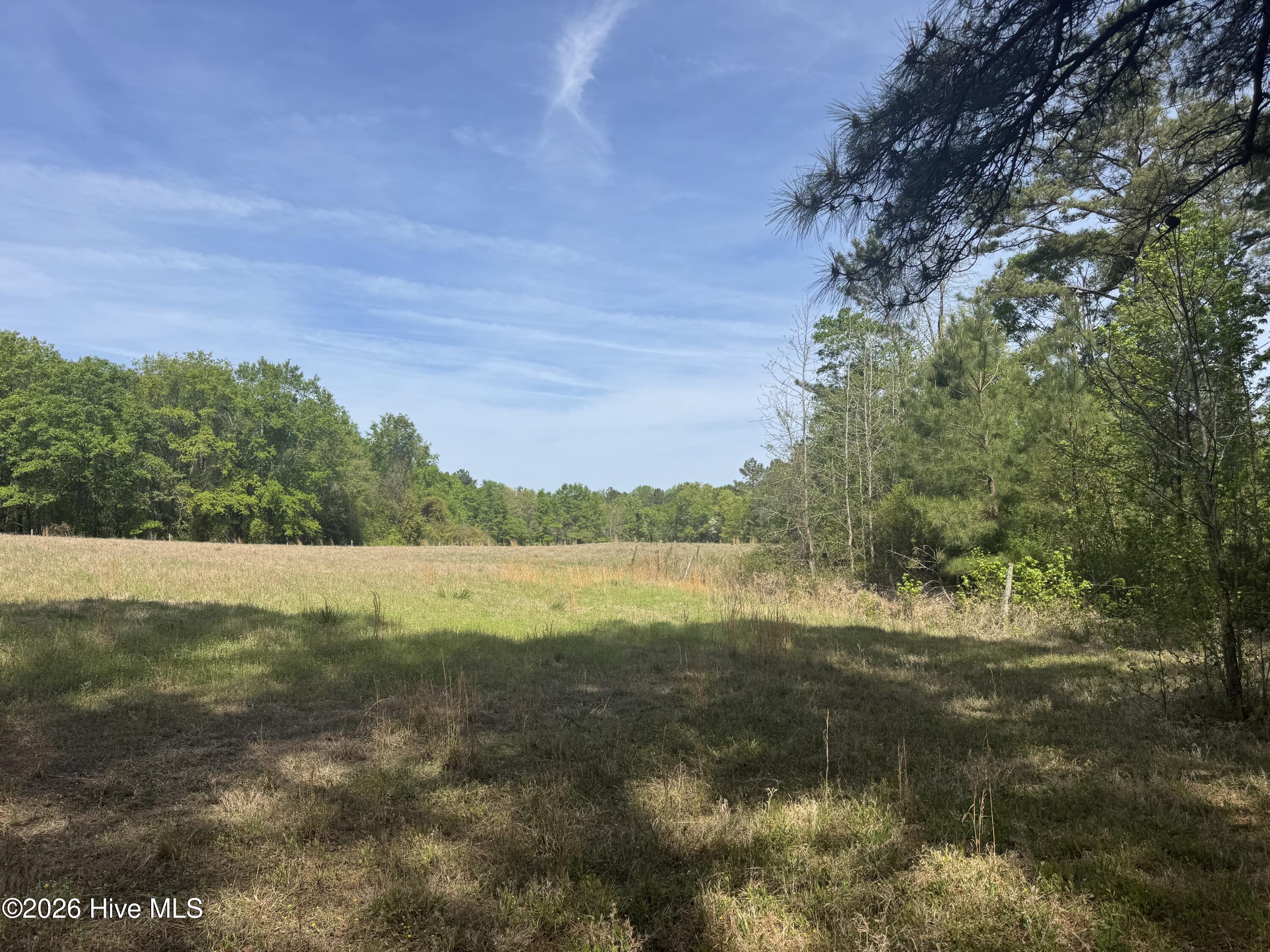 490 Springhill Church Road Hamlet, NC 28345 - Photo 30 of 63 IMG_0141