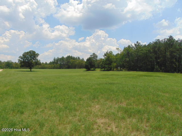 490 Springhill Church Road Hamlet, NC 28345 - Photo 3 of 63 20211125005616741387000000-o