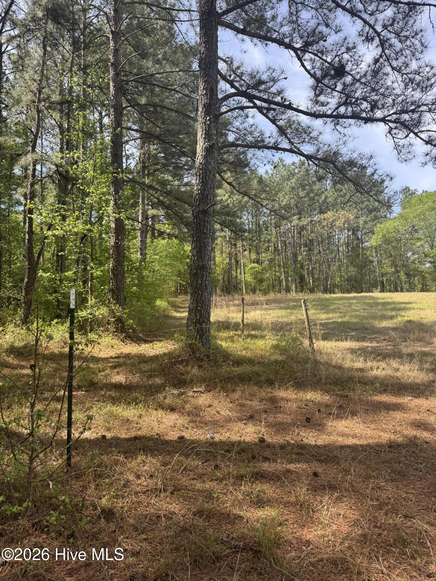 490 Springhill Church Road Hamlet, NC 28345 - Photo 31 of 63 IMG_0140